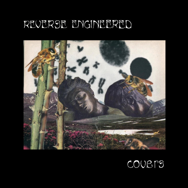 Covers cover art