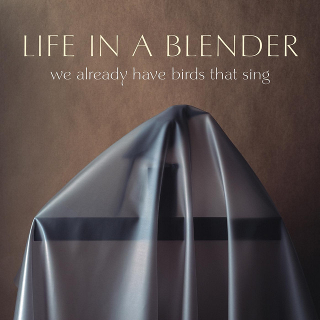 We Already Have Birds That Sing cover art