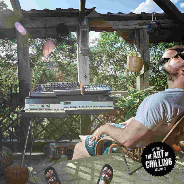 The Art of Chilling, Vol. 2 cover art