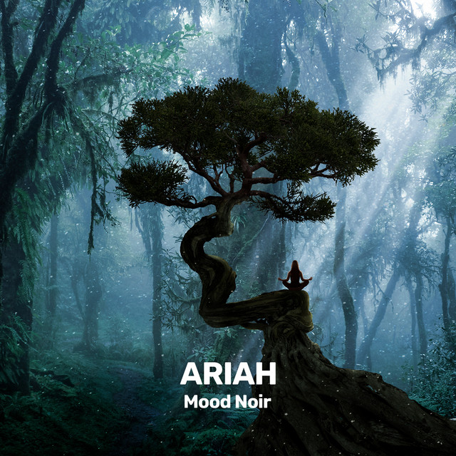 Mood Noir cover
