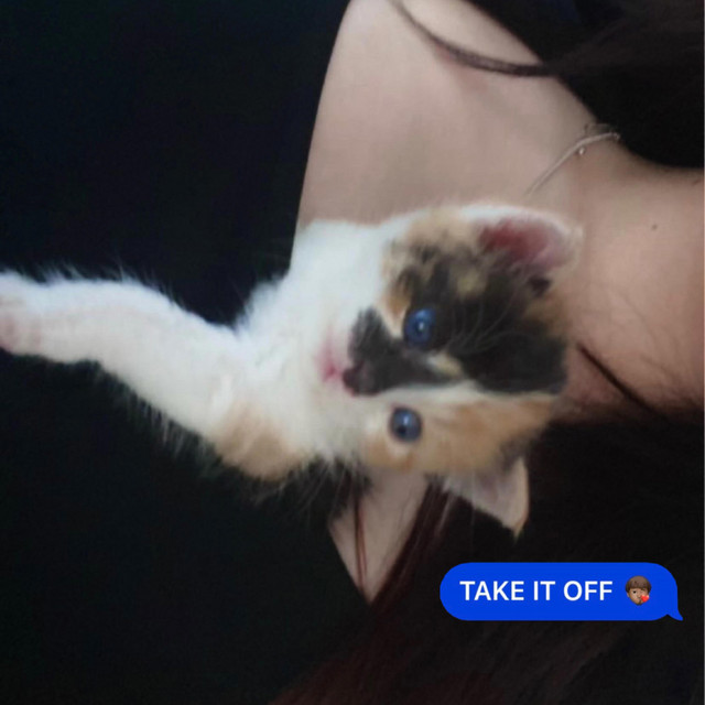 TAKE IT OFF cover art