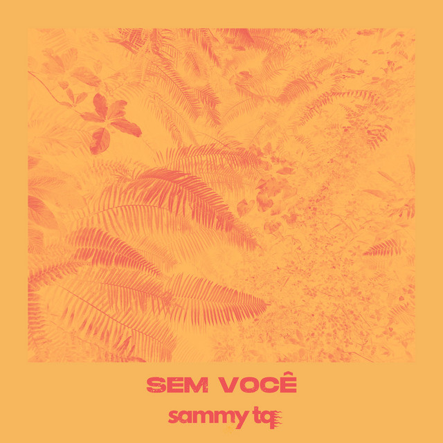 Sem Você cover