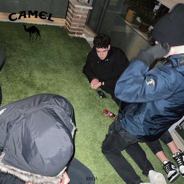 CAMEL cover art