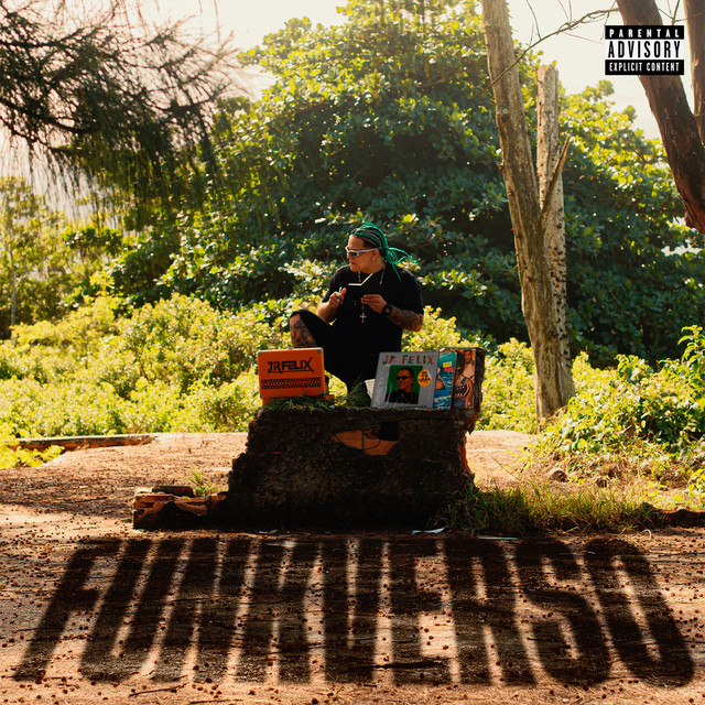 undefined album image
