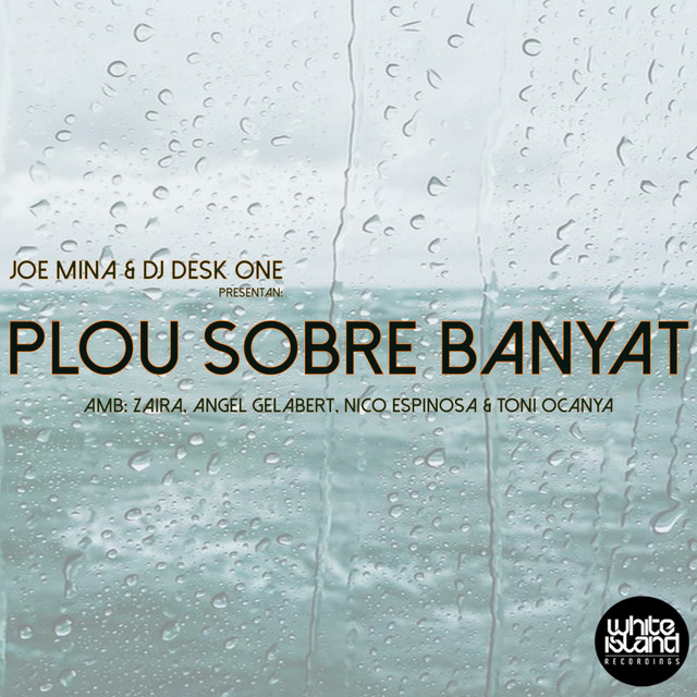Plou Sobre Banyat cover art
