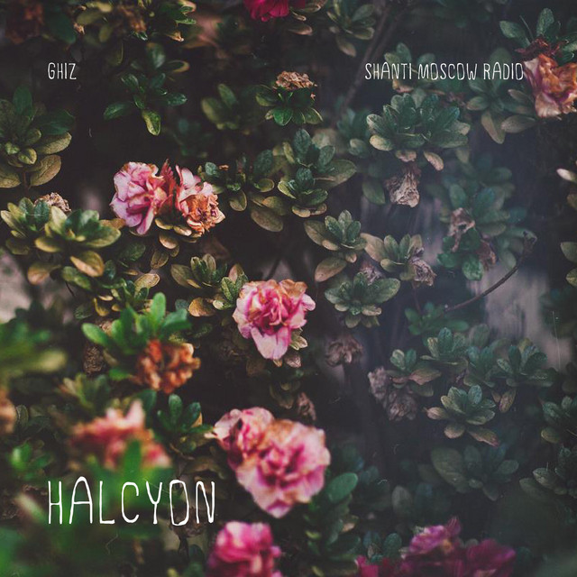 Halcyon cover art