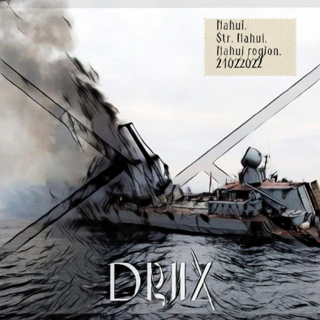 Обкладинка: R.K.I.N. — DRUZ