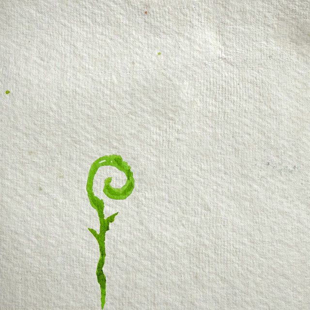 Ode to Bamboo cover