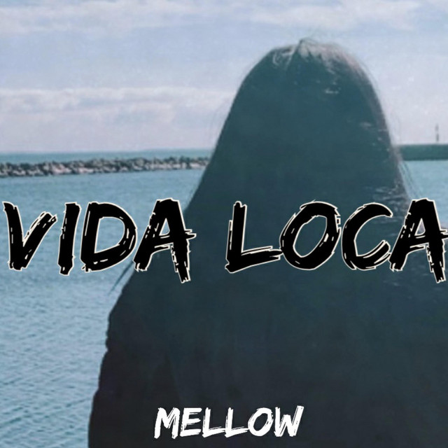 Vida Loca (Extended Version) cover art