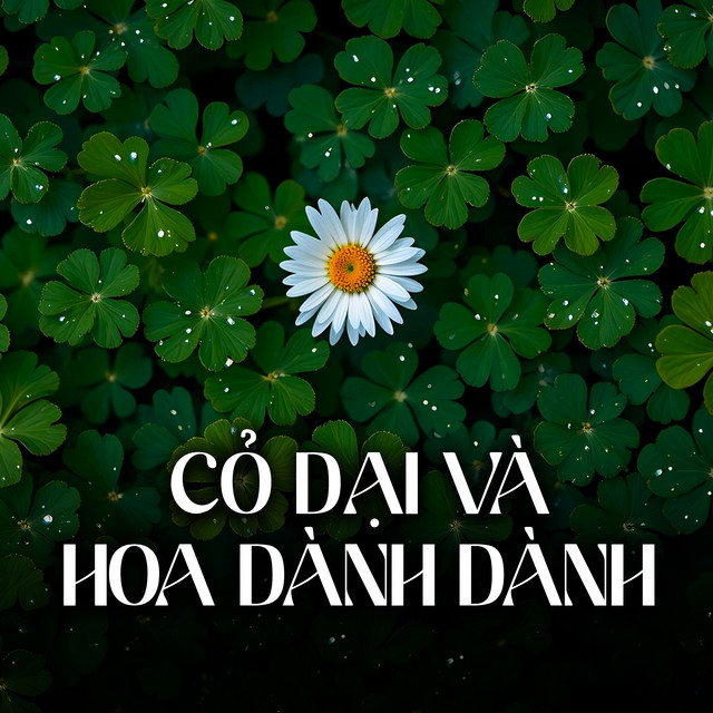 Hàn Vũ