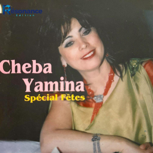 Spécial Fêtes cover art