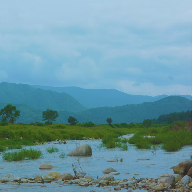 Natural World :) lofi hiphop mix cover art