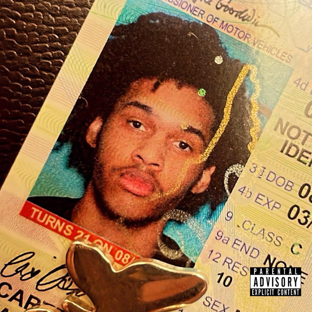 Cedar Grove cover art