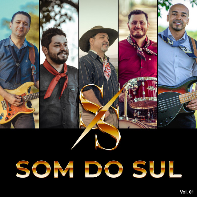 Som do Sul cover art