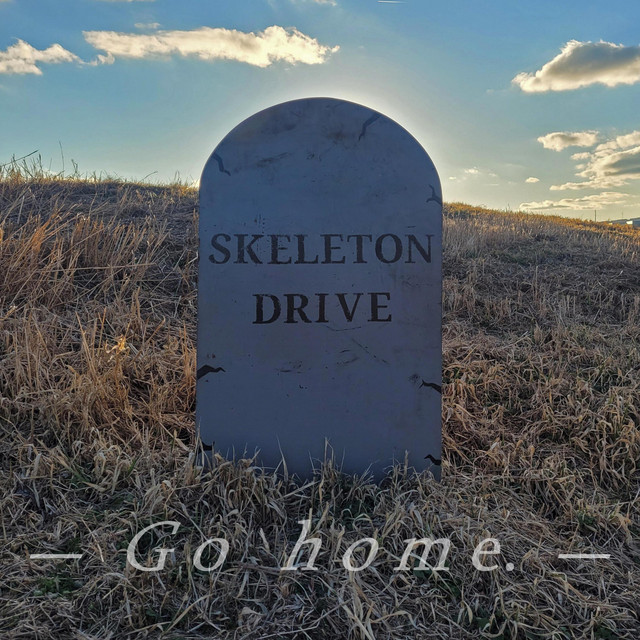 Go home. cover art