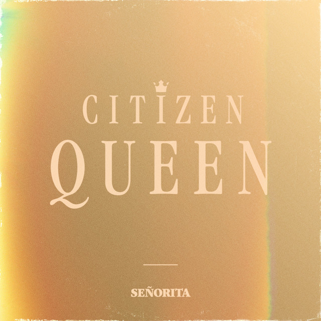 Señorita cover