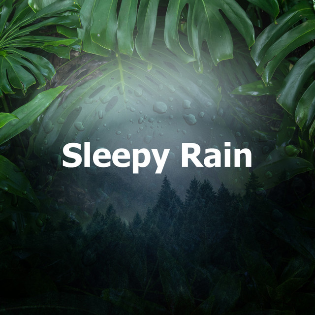 Sleepy Rain - Album by Relaxing Sleep Sound | Spotify