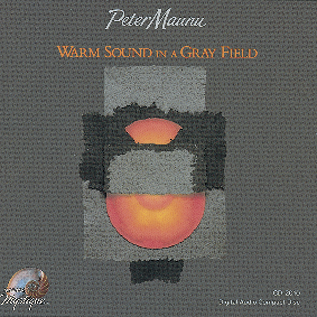 Warm Sound In A Gray Field cover