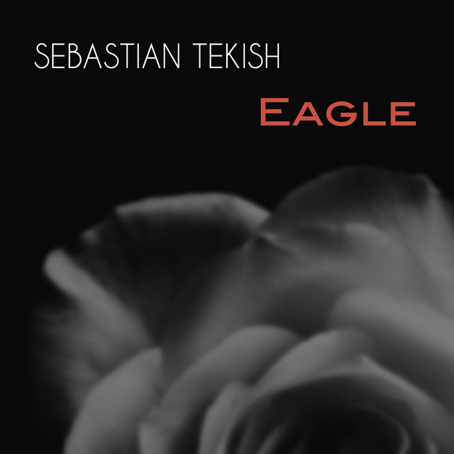 Eagle cover art