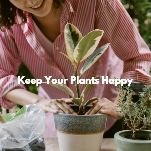 Keep Your Plants Happy cover art