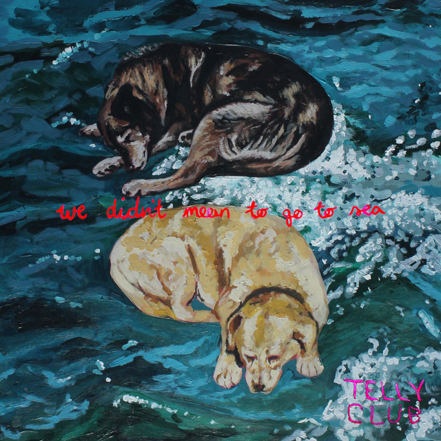 We Didn't Mean to Go to Sea cover art