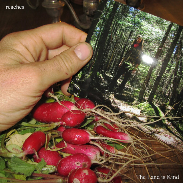 The Land is Kind cover art