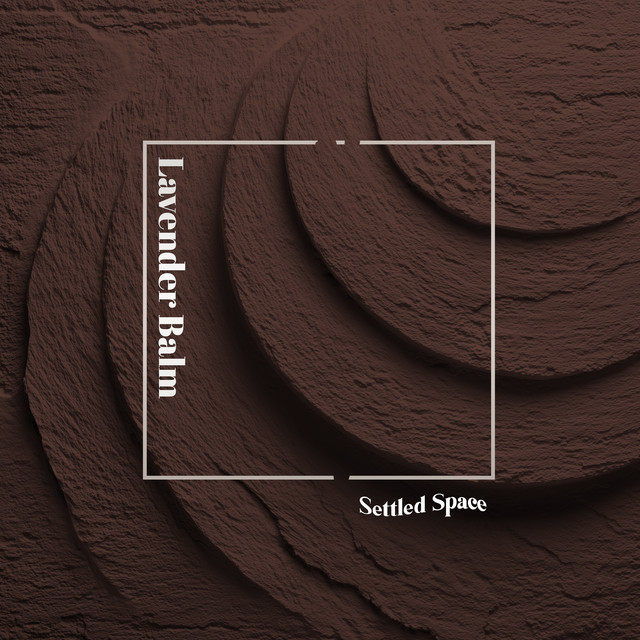 Settled Space cover art