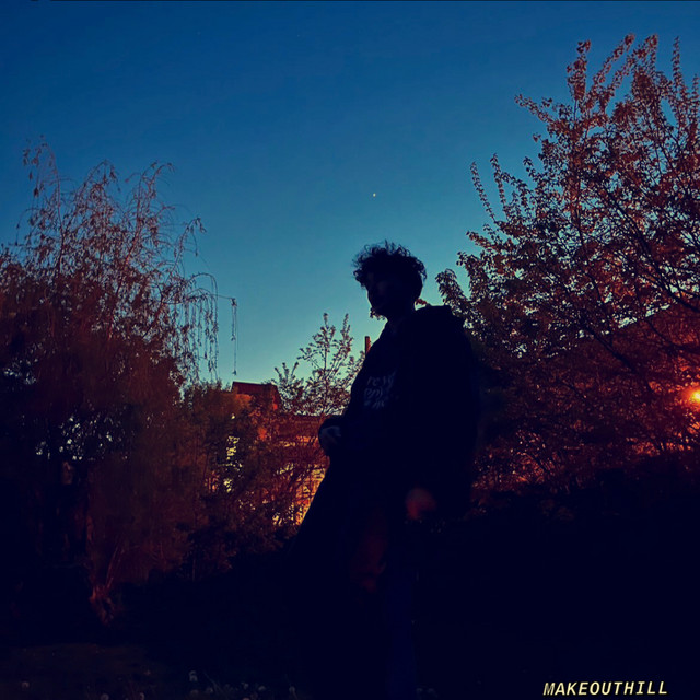 MAKEOUTHILL cover art