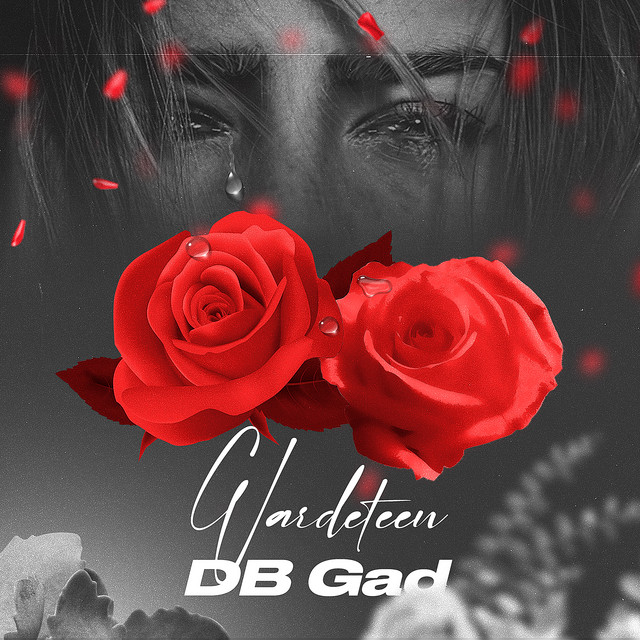 Wardeteen cover art