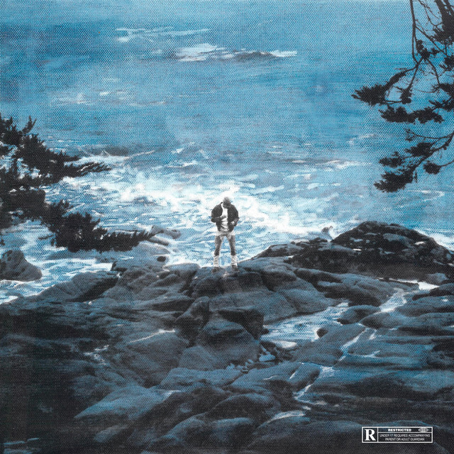 Trop bizarre pour vivre. Trop rare pour mourir. cover