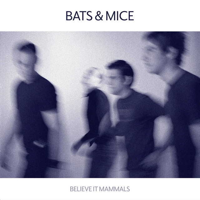 Believe It Mammals cover