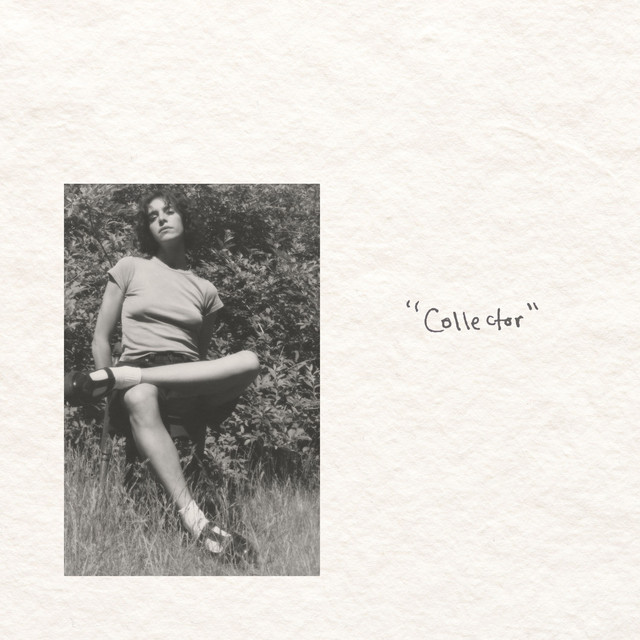 "Collector" Deluxe cover art