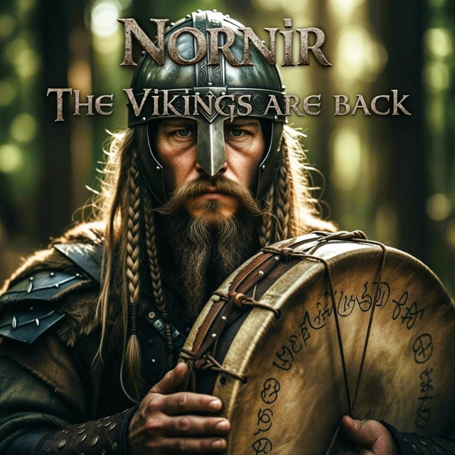 The Vikings are back cover