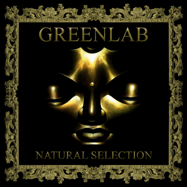 Natural Selection cover art