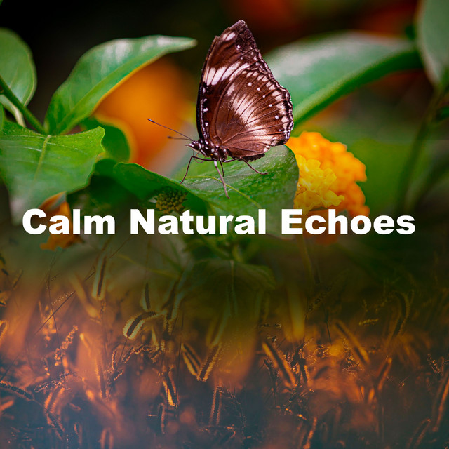 Calm Natural Echoes - Album by The Sounds Of Nature | Spotify