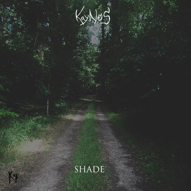 Shade cover art