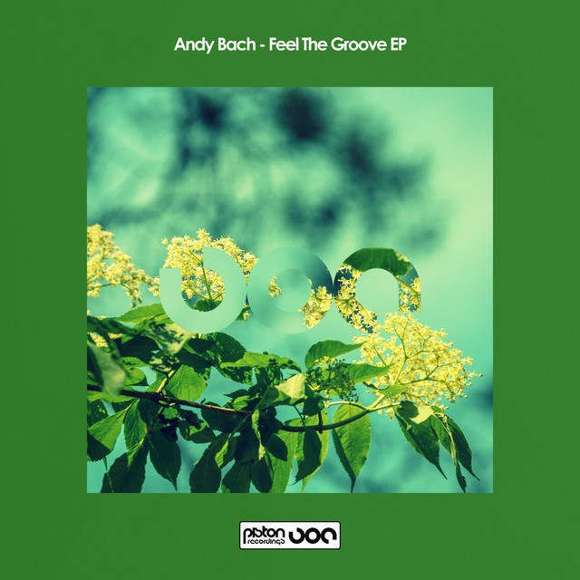 Feel The Groove album art