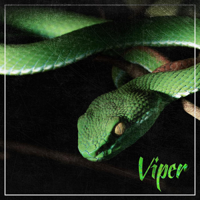 Viper cover art