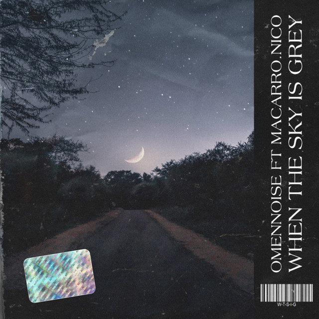 When The Sky Is Grey Song By Omen Noise Macarro Nico Spotify