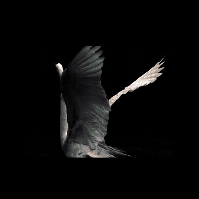 Sacred in the wreckage cover art