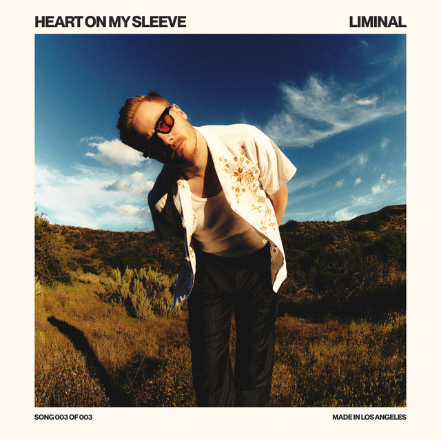 Heart On My Sleeve album image