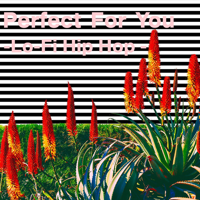 Perfect For You-Lo -Fi Hip Hop -