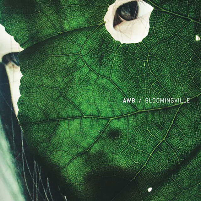 Photosynthesis - Peter Van Hoesen Remix album art