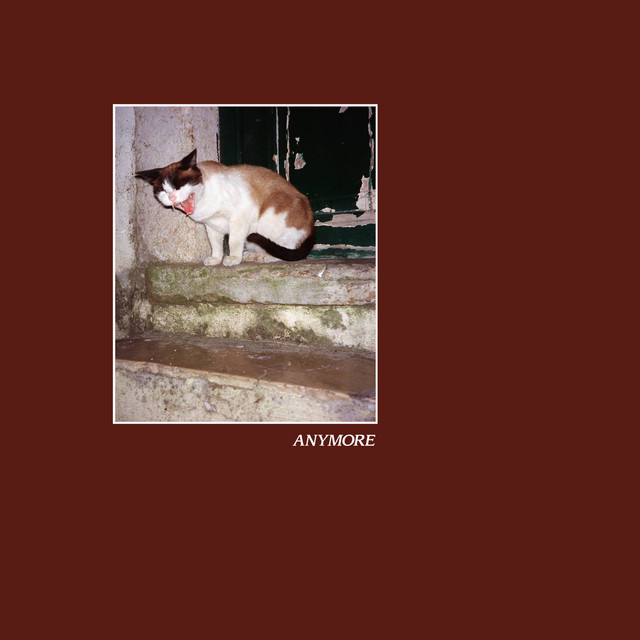 Anymore cover