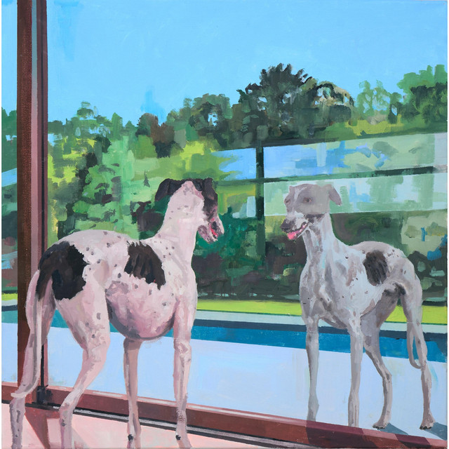 Dos galgos blancos cover