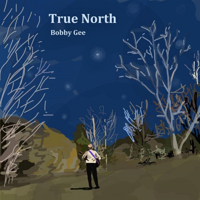True North cover