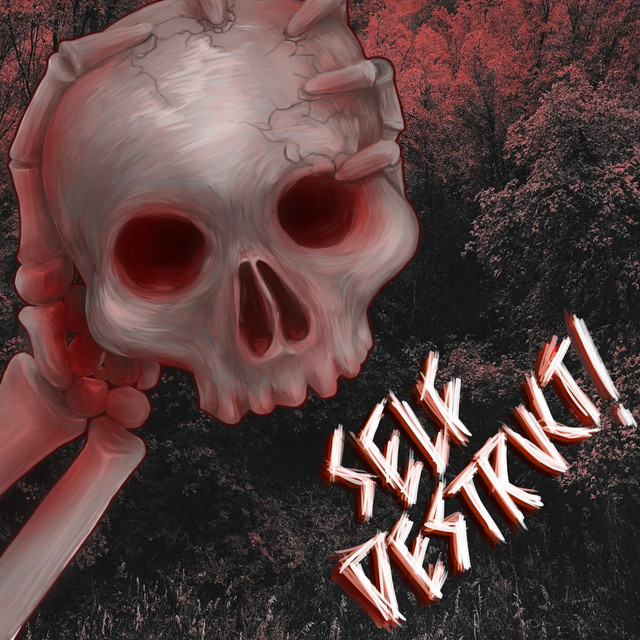 SELFDESTRUCT! cover art