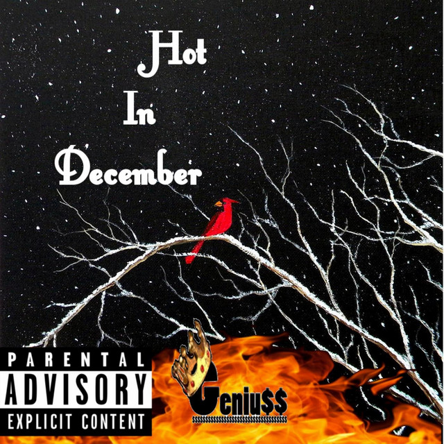 Hot in December cover art