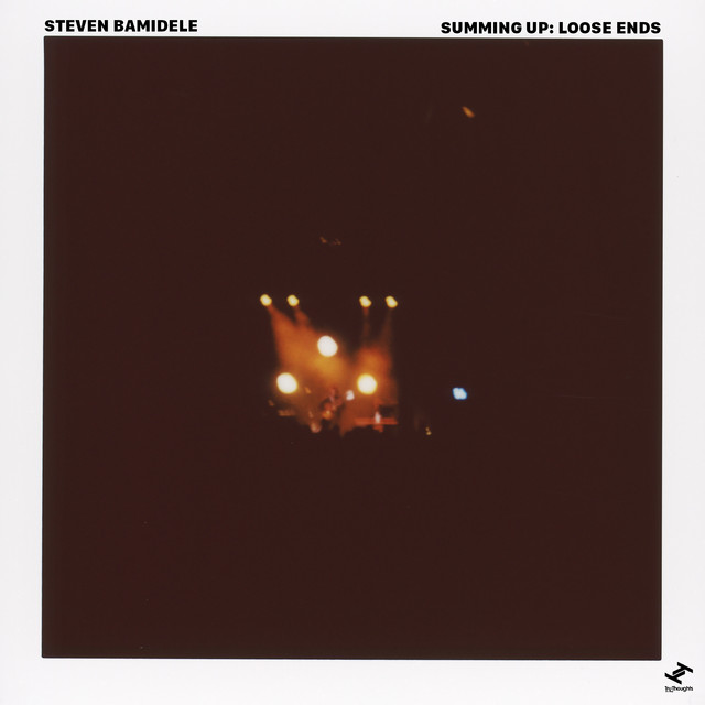 Summing Up: Loose Ends cover art