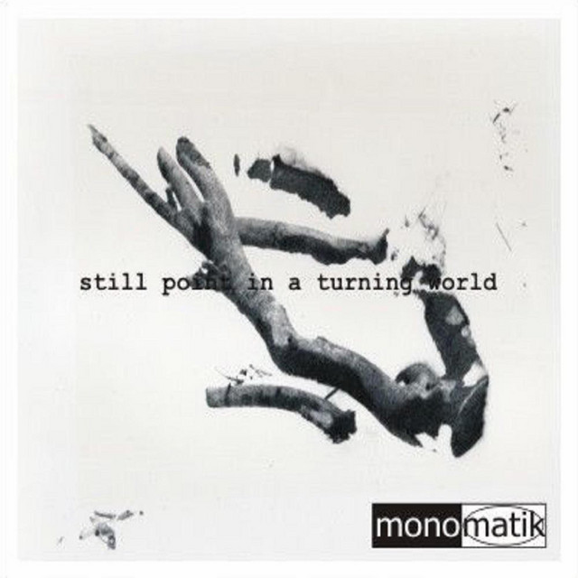 Still Point In A Turning World cover